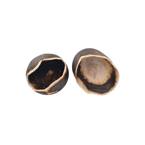 Zemna Školjka - Aardeschelp