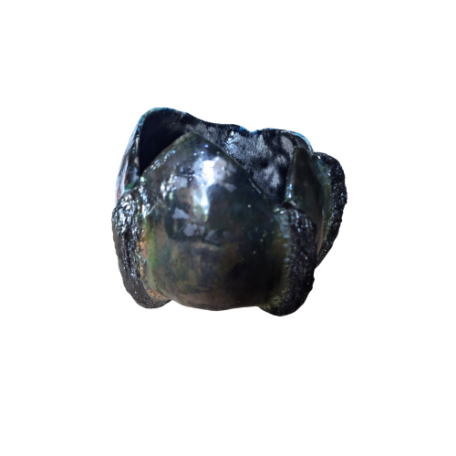 Umi no Kodō – Hartslag van de Zee