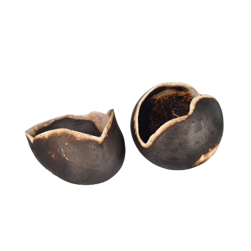 Zemna Školjka - Aardeschelp