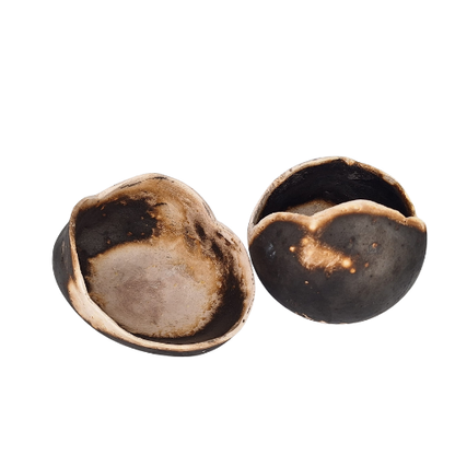 Zemna Školjka - Aardeschelp