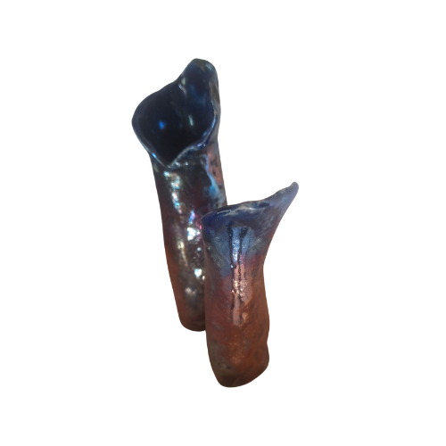 Sōjō no Koe – Stemmen van de Tweeling