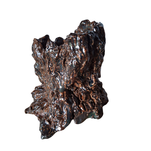 Kodama – Geest van de Stam