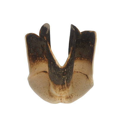 Kruna Ognja - Kroon van vuur