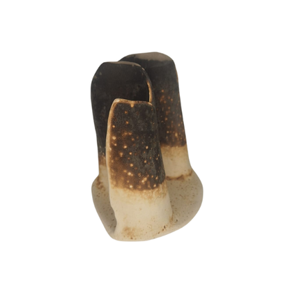 Kruna Ognja - Kroon van vuur